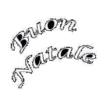 PROIETTORE LED CON SCRITTA BUON NATALE IP44 230V - ARTELETA PD1611/BN product photo