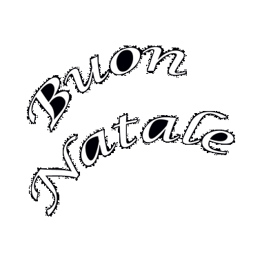 PROIETTORE LED CON SCRITTA BUON NATALE IP44 230V - ARTELETA PD1611/BN product photo Photo 01 3XL