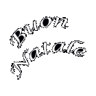 PROIETTORE LED CON SCRITTA BUON NATALE IP44 230V - ARTELETA PD1611/BN product photo