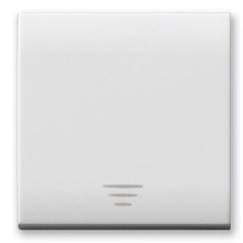 PULSANTE 1P NA 10A ILLUMI. DOMUS 2M - AVE 441005/2 product photo