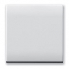 TAPPO COPRIFORO ATTREZZAB. DOMUS 2M - AVE 441013A/2 - AVE 441013A/2 product photo