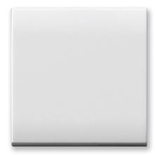 TASTO LISCIO PER COMANDI   DOMUS 2M - AVE 441T/2 - AVE 441T/2 product photo