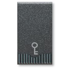 NOIR AX PULSANTE 1P 10A NA SIMB.CHIAVE 1MD - AVE 45305K - AVE 45305K - AVE 45305K product photo