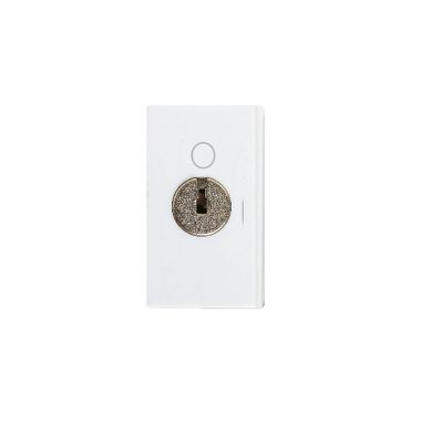 INTERRUTTORE 2P 16A CON CHIAVE BANQ - AVE 45B73 - AVE 45B73 product photo Photo 01 3XL