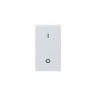 RAL INTERRUTTORE 2P 16A 1M - AVE 45510 - AVE 45510 product photo