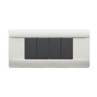 RAL45 PLACCA TECNOP.6MOD.GRIGIO RAL - AVE 45P06R product photo