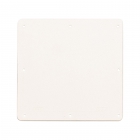 COPERCHIO ANTIURTO IP40 X BL08CG/BL08P - AVE BLCG08C - AVE BLCG08C product photo
