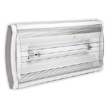 Lampada emergenza F65 24W IP65 AT SE 1N/RM - BEGHELLI 19030 product photo