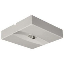 Lampada emergenza Lunga LARGA LUCE LED DWCL AT 24W SE 1N - BEGHELLI 19321 product photo