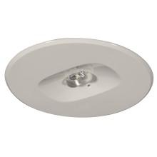 Lampada emergenza Lunga LARGA LUCE LED DWRC AT 24W SE 1N - BEGHELLI 19331 product photo