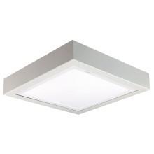 PANEL LED CORNICE PLAFONE 300*300MM - BEGHELLI 20099 - BEGHELLI 20099 - BEGHELLI 20099 product photo