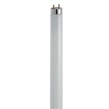 LAMP.FLUO T8  TRIMAX 58W G13 865 - BEGHELLI 52111 - BEGHELLI 52111 product photo