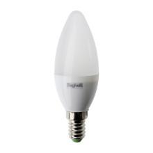 LAMPADA OLIVA ES LED 5W E14 4000K 56981 - BEGHELLI 56981 product photo