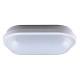 PLAFONIERA GEO LED 15W OVAL WHITE 4K - BEGHELLI 75421 product photo Photo 01 2XS