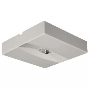 Lampada emergenza Lunga LARGA LUCE LED DWCL AT 24W SE 1N - BEGHELLI 19321 product photo Photo 01 3XL