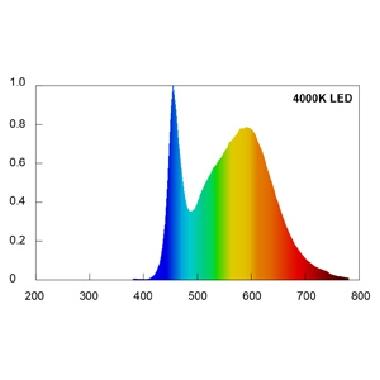 Lampade lineari PL ECOLed ad alta luminosit? LED 10W 2G11 4000 K - BEGHELLI 56500 product photo Photo 02 3XL
