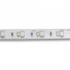 STRISCIA STRIP LED RGB-W IP65 - BEGHELLI 56618 product photo