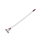 CONNETTORE STRIP TO DRIVER 24V - BEGHELLI 56621 product photo