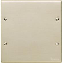 MAGIC - PLACCA CON VITI COPRISCATOLA OXIDAL - BTICINO 999 - BTICINO 999 product photo