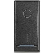 AXOLUTE - INTERRUTTORE 2P 16AX SCURO - BTICINO HS4002 product photo