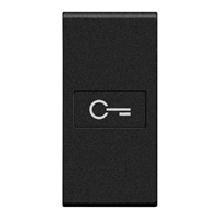 LL - COPRITASTO AX+CHIAVE 1M ANTRACITE - BTICINO L4916F - BTICINO L4916F - BTICINO L4916F product photo