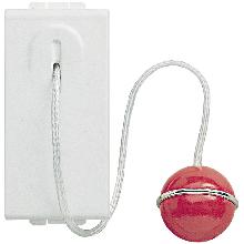 LIGHT PULSANTE 1P NO 10A A TIRANTE N4033 - BTICINO N4033 product photo