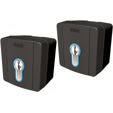 KIT 2 SELETTORI CHIAVE DIN ESTERNO - CAME AUTEL STUDIO SR 8K06SL/004 product photo