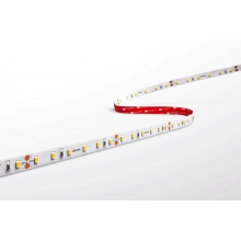 STRIP LED ACCENTO PRO 14W/m 60 led/m 70W 6000K 1400 Lm/m IP20  BOBINA 5 m - CENTURY AC90-146060 product photo