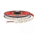 STRIP LED 5M - 14.4W/M - 24V 4000K - CENTURY AC-142440 product photo Photo 01 2XS