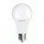 LAMPADA LED ARIA PLUS GOCCIA A60 12W E27 3000K 1280 Lm IP20 - CENTURY ARP-122430 product photo Photo 01 2XS