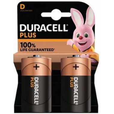 BATTERIE PILE TORCIA BLISTER 2 PEZZI MN1300B2 - DURACELL MN1300 product photo Photo 01 3XL