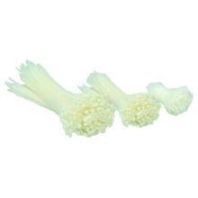 Fascetta in Nylon 6.6 colore nero - EASYTEQ 48200N product photo