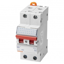 INTERRUTTORE DI MANOVRA-SEZIONATORE - 2P 63A 415V - 2 MODULI - GEWISS GW96116 product photo