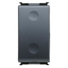 TASTO INTERCAMBIABILE - SERVIZI GENERICI - 25x45mm - 1 MODULO - GENERICO 2 INCAVI - PLAYBUS - GEWISS GW30056 product photo