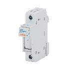 PORTAFUS.SEZ.1P 10,3X38 690V AC 32A - GEWISS GW96205 - GEWISS GW96205 - GEWISS GW96205 product photo