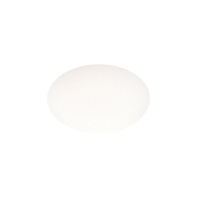 LAMPADA CLIO - 1PARALUME - IDEAL LUX 145068 product photo