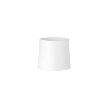 LAMPADA SETUPPARALUMECONOD16 BIANCO - IDEAL LUX 260341 product photo