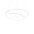 SOSPENSIONE OZSPD60DALI BIANCO - IDEAL LUX 304540 product photo Photo 01 2XS