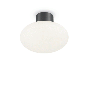 LAMPADA PLAFONIERA CLIOM PL1 ANTRACITE - IDEAL LUX 148861 product photo Photo 01 3XL