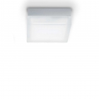 PLAFONIERA IRISLED PL1 D19 - IDEAL LUX 104539 product photo