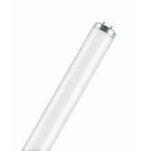 L 20W/640 SA FLH1                  OSRAM - LEDVANCE L20640SA product photo