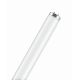 L 20W/640 SA FLH1                  OSRAM - LEDVANCE L20640SA product photo Photo 01 2XS