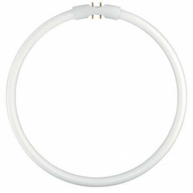 LAMPADA CIRCOLINA FC 22W/830 FS1 - LEDVANCE FC22830 product photo Photo 01 3XL