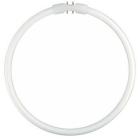 LAMPADA CIRCOLINA FC 22W/830 FS1 - LEDVANCE FC22830 product photo