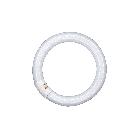 LEDAVANCE L32827CN - Lampada fluorescente speciale - LEDVANCE L32827CN product photo