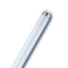 L 18W/954 FLH1                     OSRAM - LEDVANCE L18954 product photo