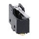 MICRO SWITCH A LEVA (63MM) TERM. VITE - LOVATO KSL1V product photo Photo 01 2XS