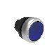 PULSANTE LUMINOSO RASATO BLU - LOVATO LPCBL106 product photo Photo 01 2XS