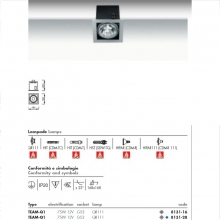 TEAM.INC.200X200MM 75W 12V G53 GR.ARG. - NUOVA MIZAR 813128 product photo