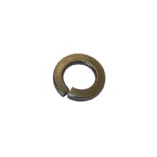 RGM10 RONDELLA INOX GROWER M10 - ORBIS OB620690 product photo